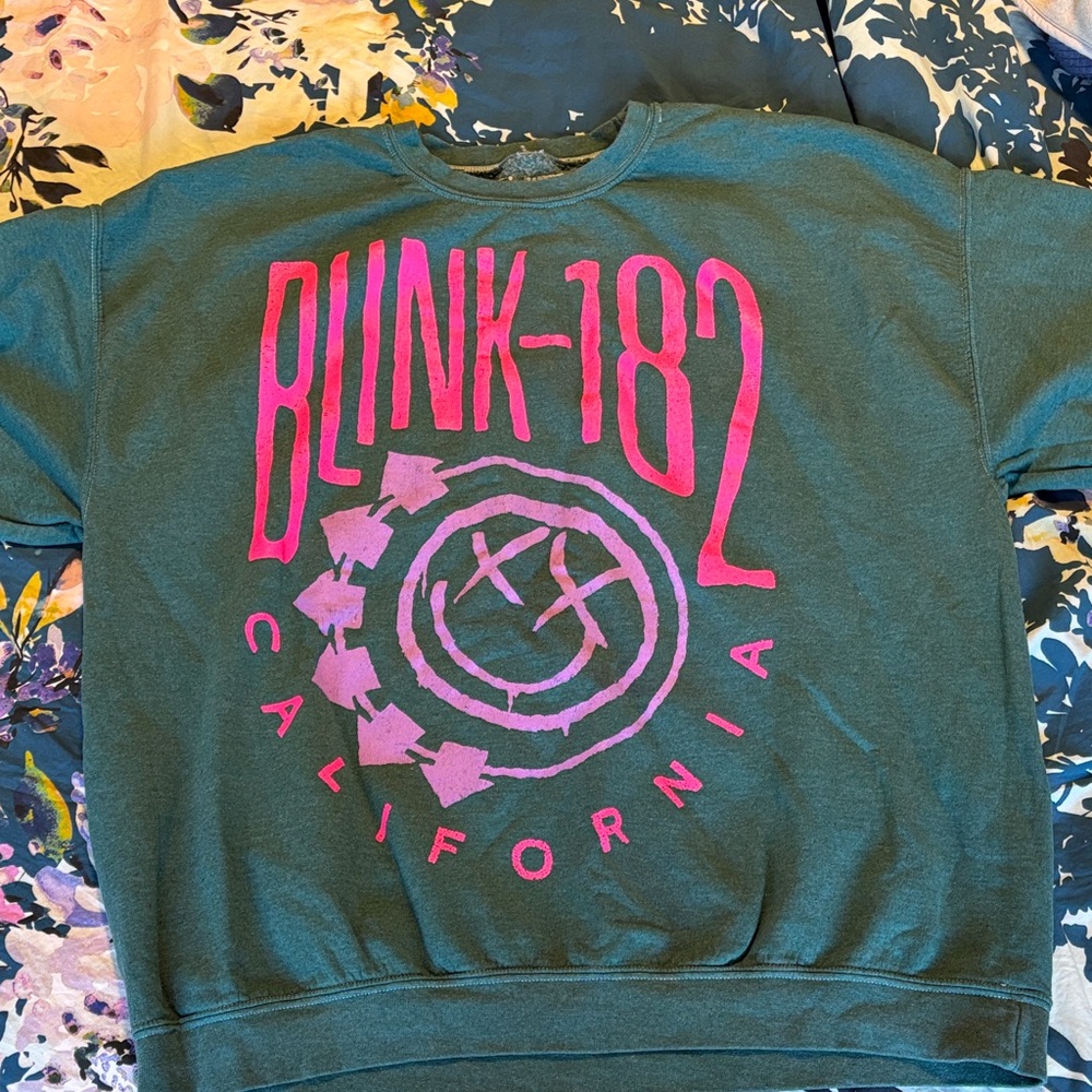 Urban Outfitters Green and Pink Blink-182 Sweatshirt